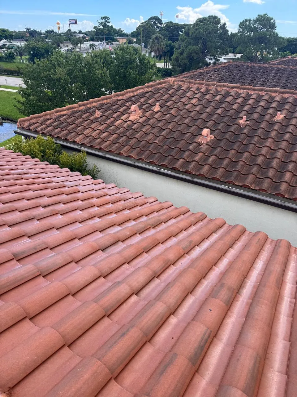 Barrel tile roof soft wash in Arbor Parc, Riviera Beach, after