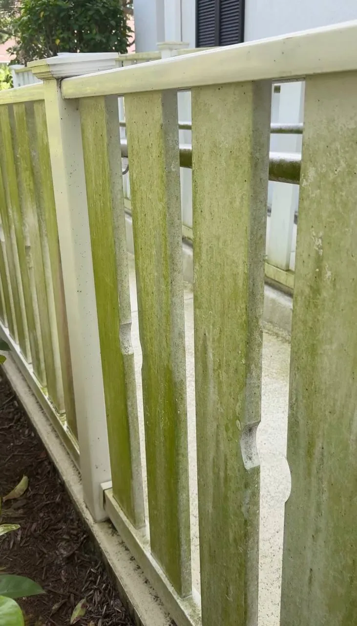 Fence and entrance soft wash in Abacoa, Jupiter, before