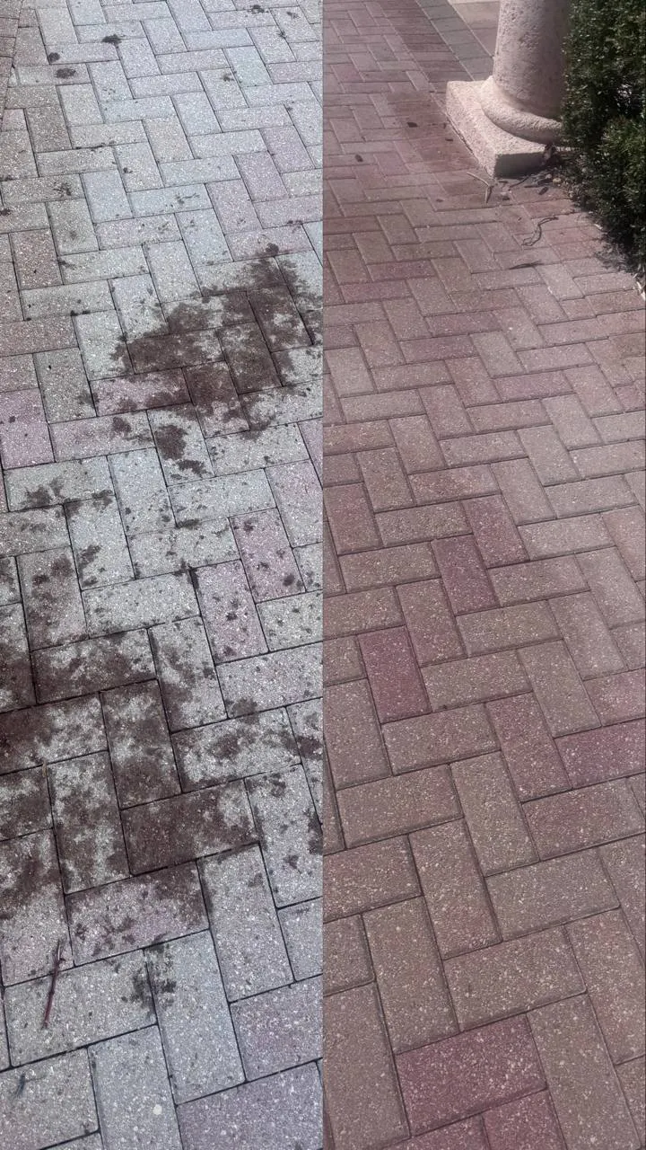 HOA paver walkway tree seed stain removal