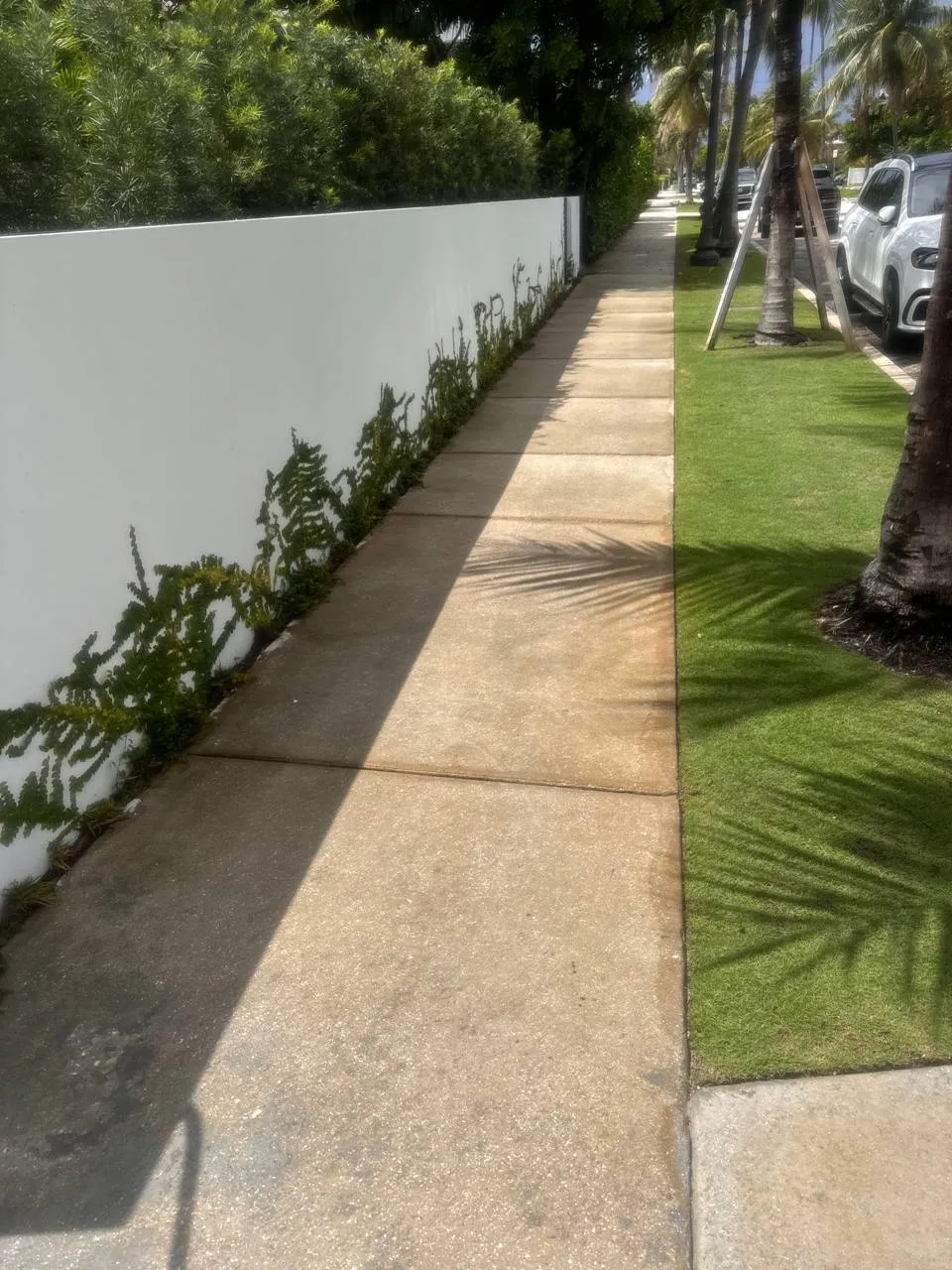Stone driveway clean and seal in downtown West Palm Beach
