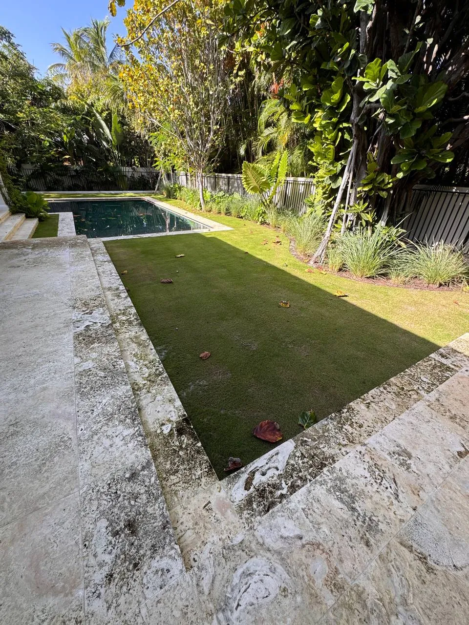Travertine pool deck clean, before
